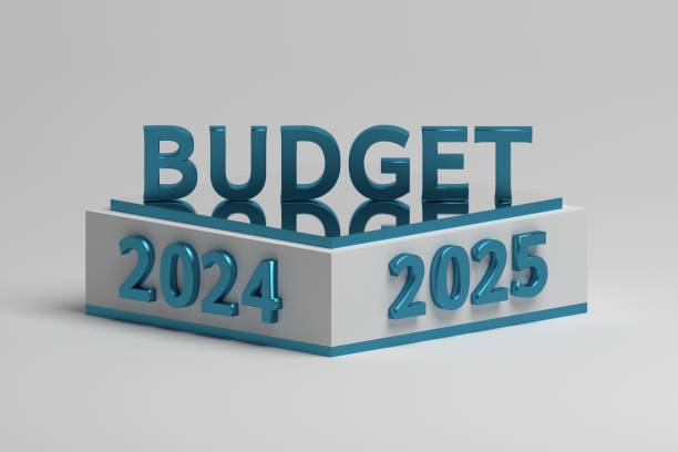 2025 Budget Planner: How to Save, Spend, and Thrive on a Low&nbsp;Income